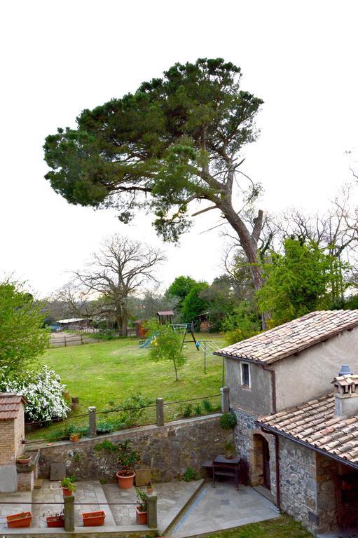 Agriturismo Tenuta Buon Respiro Orvieto Zewnętrze zdjęcie