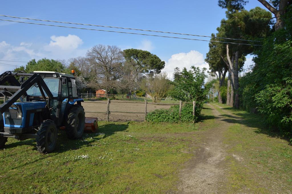 Agriturismo Tenuta Buon Respiro Orvieto Zewnętrze zdjęcie